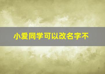 小爱同学可以改名字不