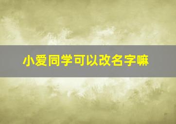 小爱同学可以改名字嘛