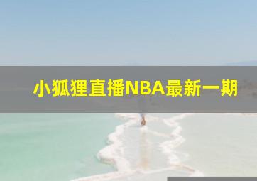 小狐狸直播NBA最新一期