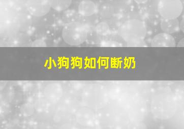 小狗狗如何断奶