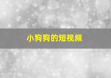 小狗狗的短视频