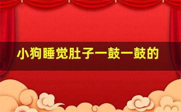 小狗睡觉肚子一鼓一鼓的