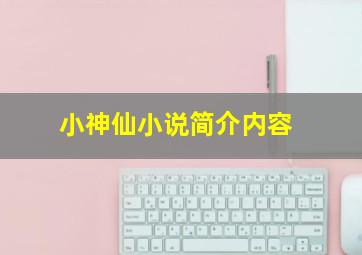 小神仙小说简介内容