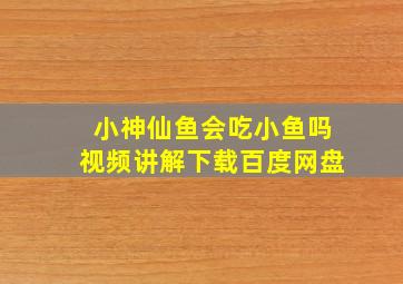 小神仙鱼会吃小鱼吗视频讲解下载百度网盘