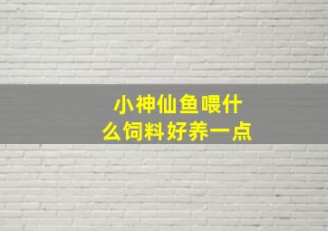 小神仙鱼喂什么饲料好养一点