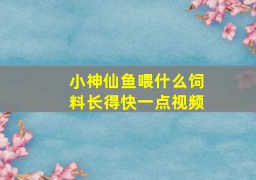 小神仙鱼喂什么饲料长得快一点视频