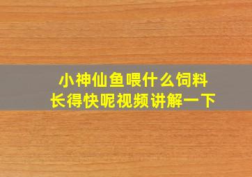 小神仙鱼喂什么饲料长得快呢视频讲解一下