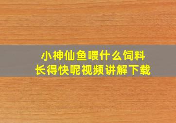 小神仙鱼喂什么饲料长得快呢视频讲解下载