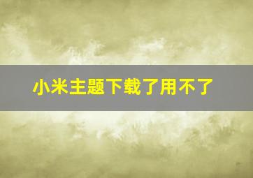 小米主题下载了用不了