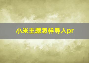 小米主题怎样导入pr