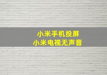 小米手机投屏小米电视无声音