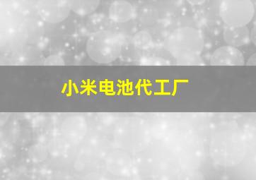 小米电池代工厂