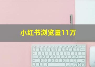 小红书浏览量11万