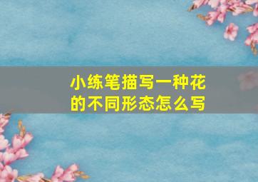 小练笔描写一种花的不同形态怎么写