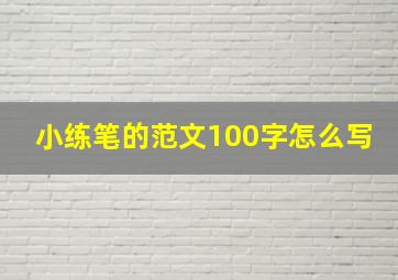 小练笔的范文100字怎么写