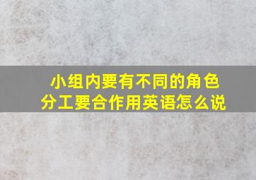 小组内要有不同的角色分工要合作用英语怎么说