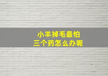 小羊掉毛最怕三个药怎么办呢