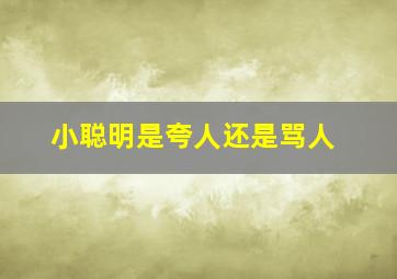 小聪明是夸人还是骂人