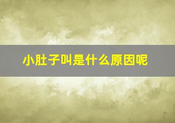 小肚子叫是什么原因呢