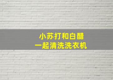 小苏打和白醋一起清洗洗衣机