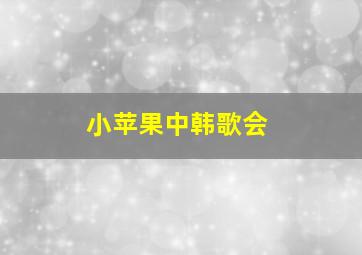 小苹果中韩歌会