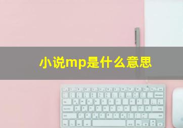 小说mp是什么意思