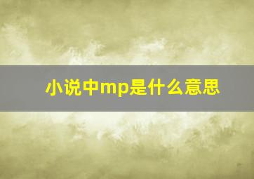 小说中mp是什么意思