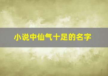 小说中仙气十足的名字