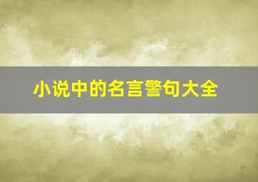 小说中的名言警句大全