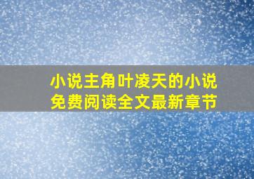 小说主角叶凌天的小说免费阅读全文最新章节