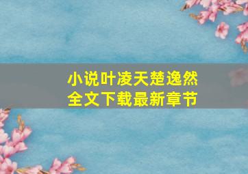 小说叶凌天楚逸然全文下载最新章节