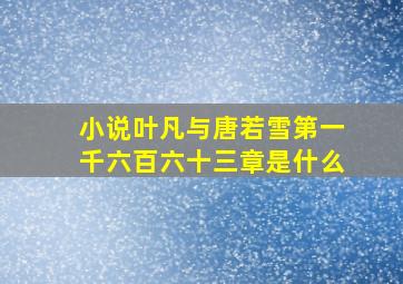 小说叶凡与唐若雪第一千六百六十三章是什么