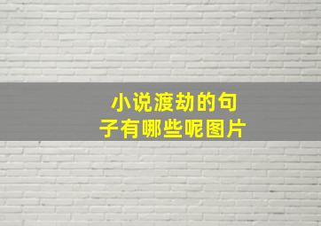 小说渡劫的句子有哪些呢图片