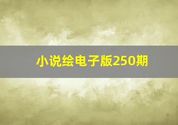 小说绘电子版250期