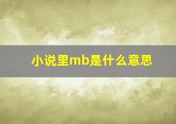 小说里mb是什么意思