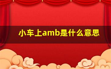 小车上amb是什么意思