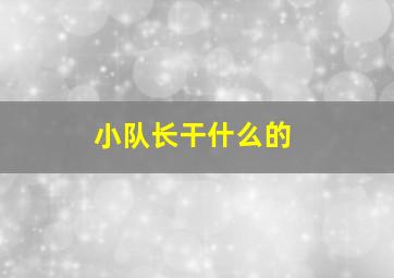 小队长干什么的