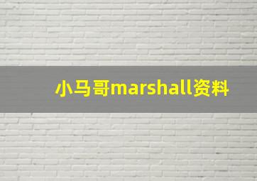 小马哥marshall资料