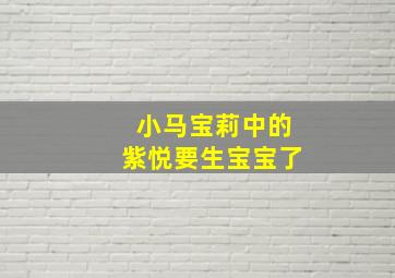 小马宝莉中的紫悦要生宝宝了