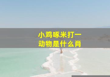 小鸡啄米打一动物是什么肖