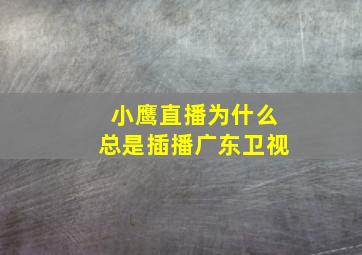 小鹰直播为什么总是插播广东卫视