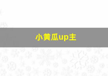 小黄瓜up主