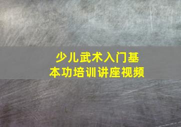 少儿武术入门基本功培训讲座视频