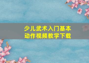 少儿武术入门基本动作视频教学下载