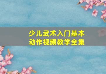 少儿武术入门基本动作视频教学全集