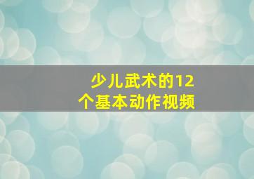 少儿武术的12个基本动作视频