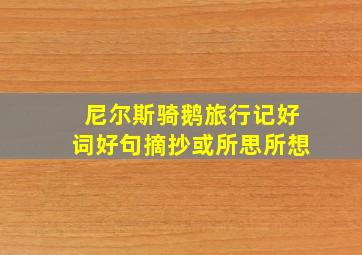 尼尔斯骑鹅旅行记好词好句摘抄或所思所想