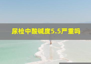 尿检中酸碱度5.5严重吗