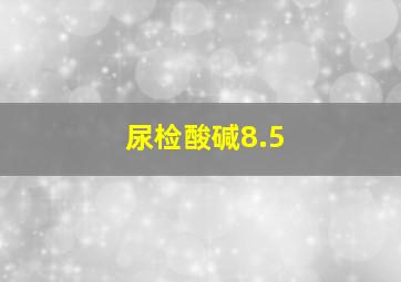 尿检酸碱8.5