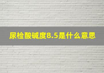 尿检酸碱度8.5是什么意思